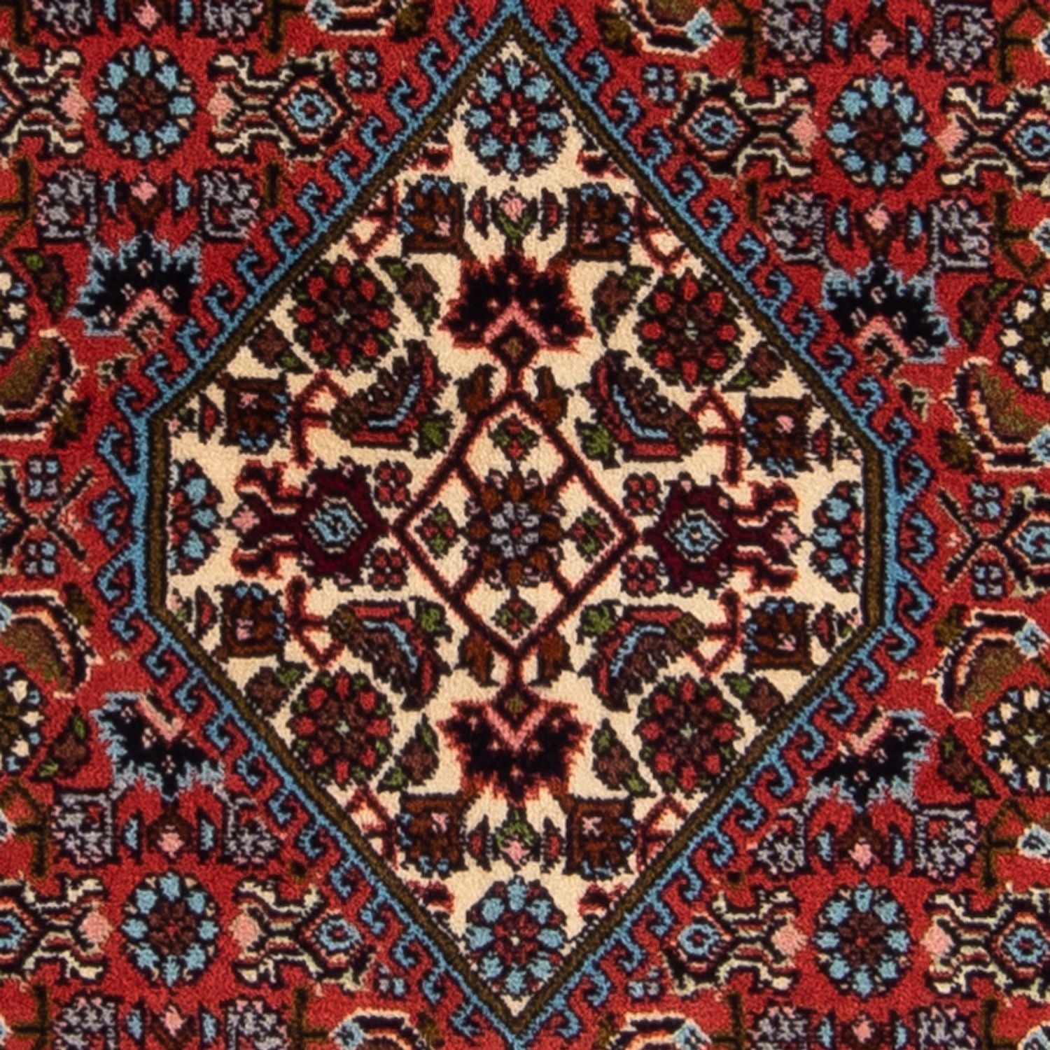 Alfombra persa - Bidjar - 156 x 86 cm - rojo