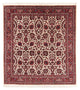 Bidjar - Takab Alfombra 153x159cm - Alfombra persa - beige