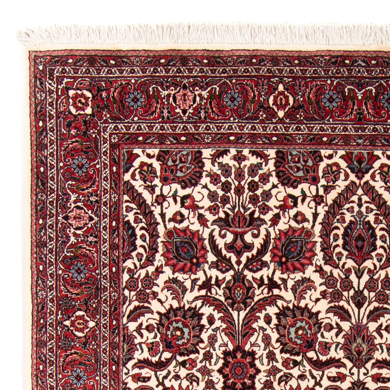 Alfombra persa - Bidjar - 159 x 153 cm - beige