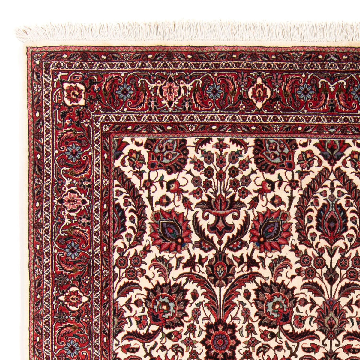 Bidjar - Takab Alfombra 153x159cm - Alfombra persa - beige