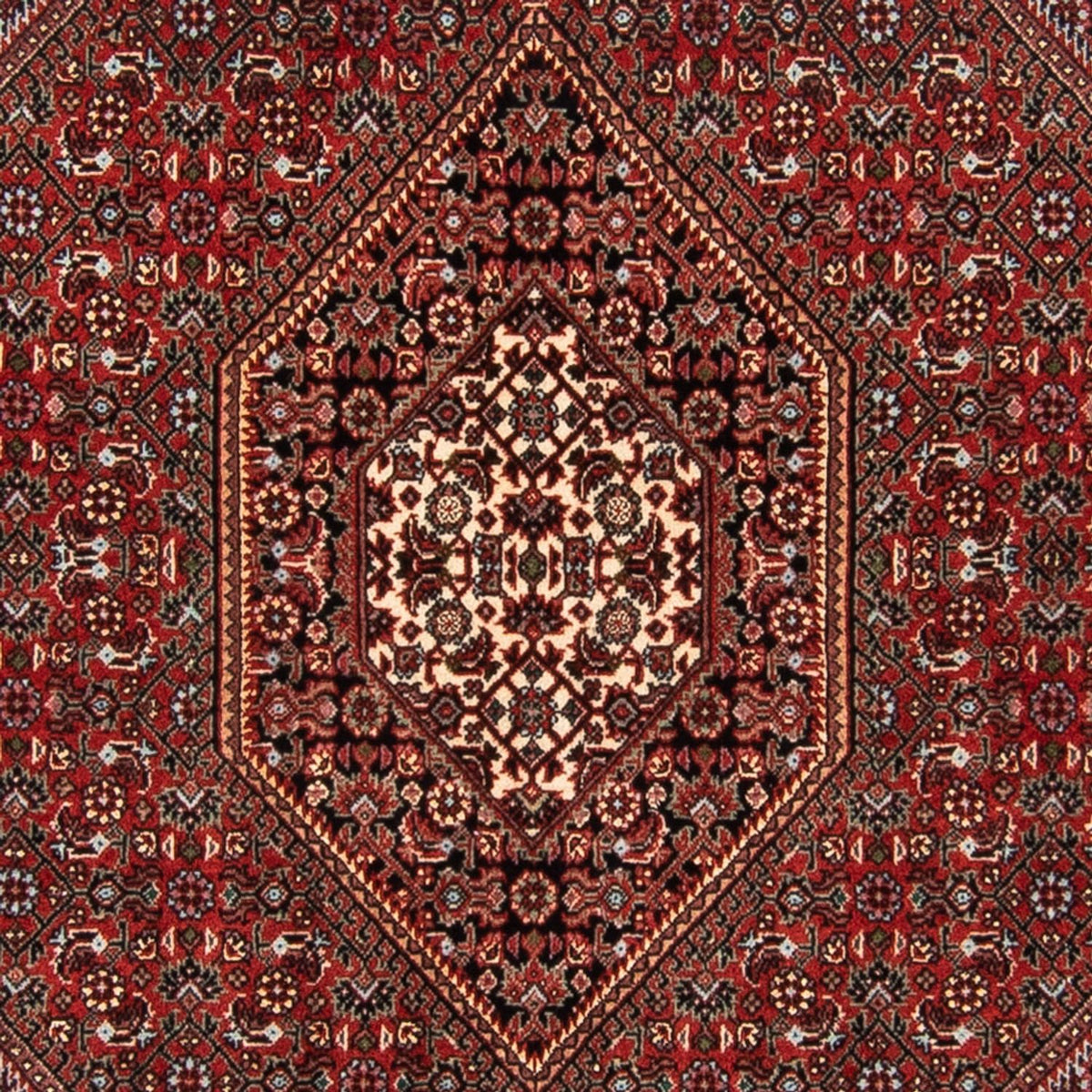 Alfombra persa - Bidjar - 140 x 92 cm - rojo