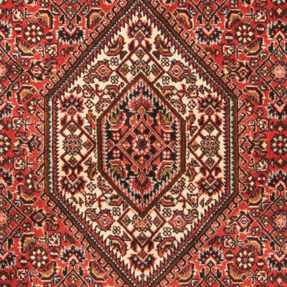 Alfombra persa - Bidjar - 137 x 81 cm - rojo