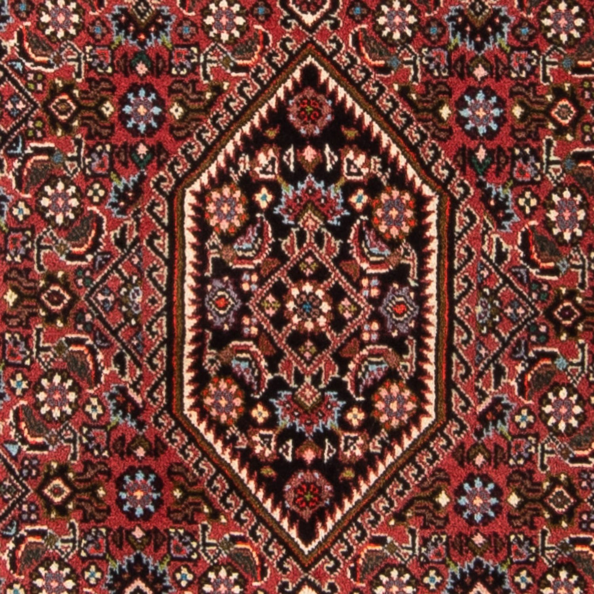 Alfombra persa - Bidjar - 140 x 82 cm - rojo