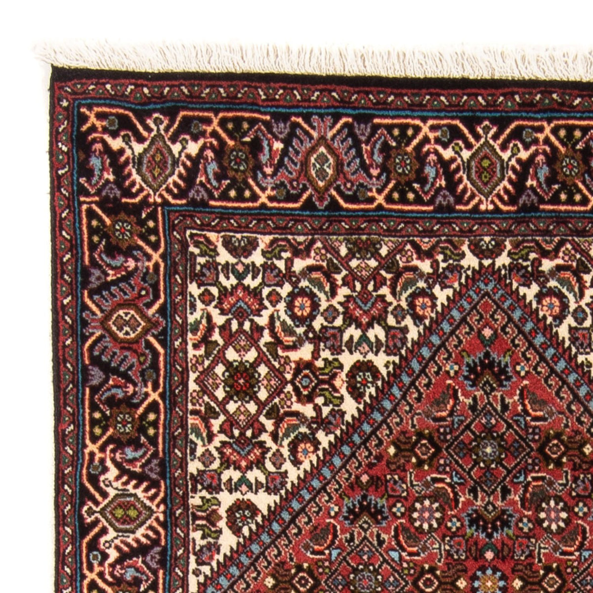Bidjar - Takab Alfombra 82x140cm - Alfombra persa