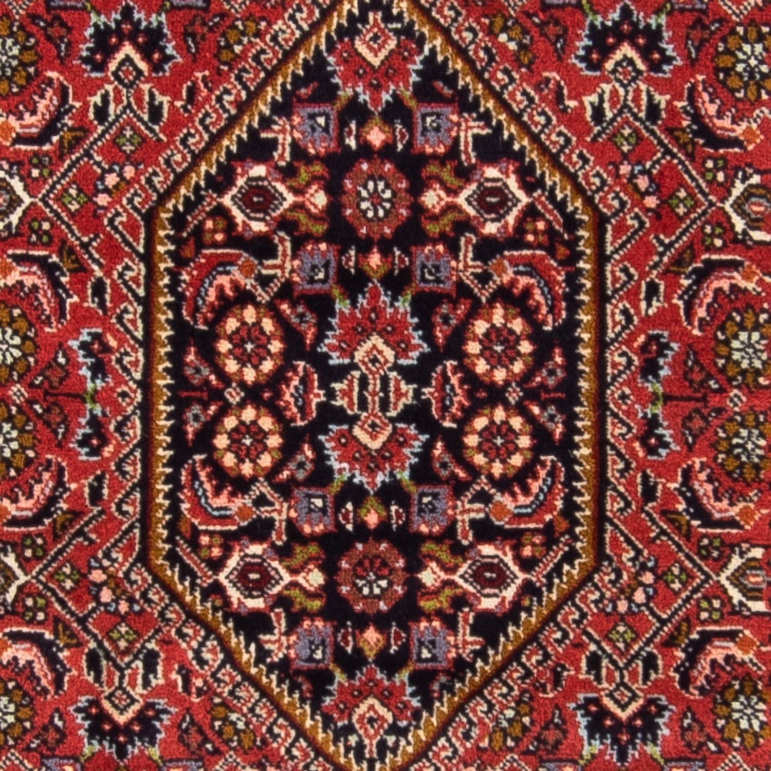 Alfombra persa - Bidjar - 147 x 86 cm - rojo
