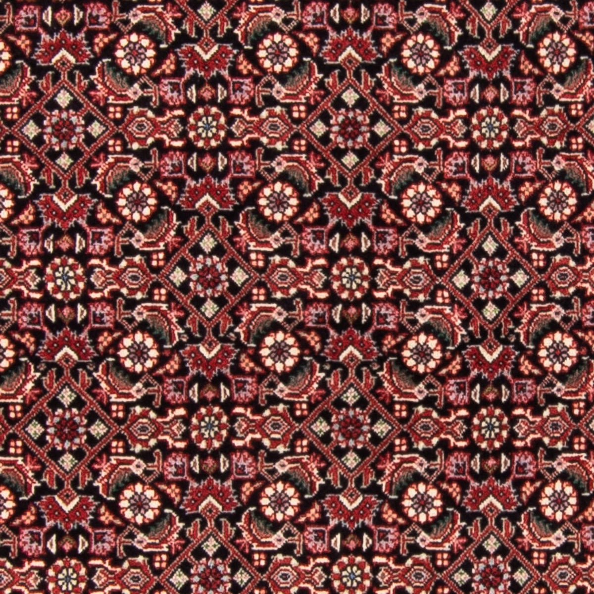 Alfombra persa - Bidjar - 163 x 111 cm - azul oscuro