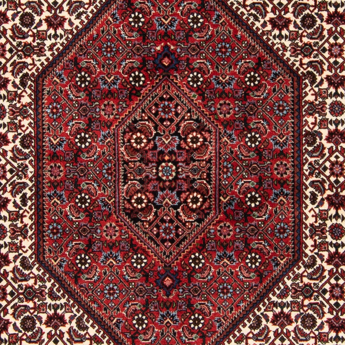 Alfombra persa - Bidjar - 183 x 114 cm - multicolor