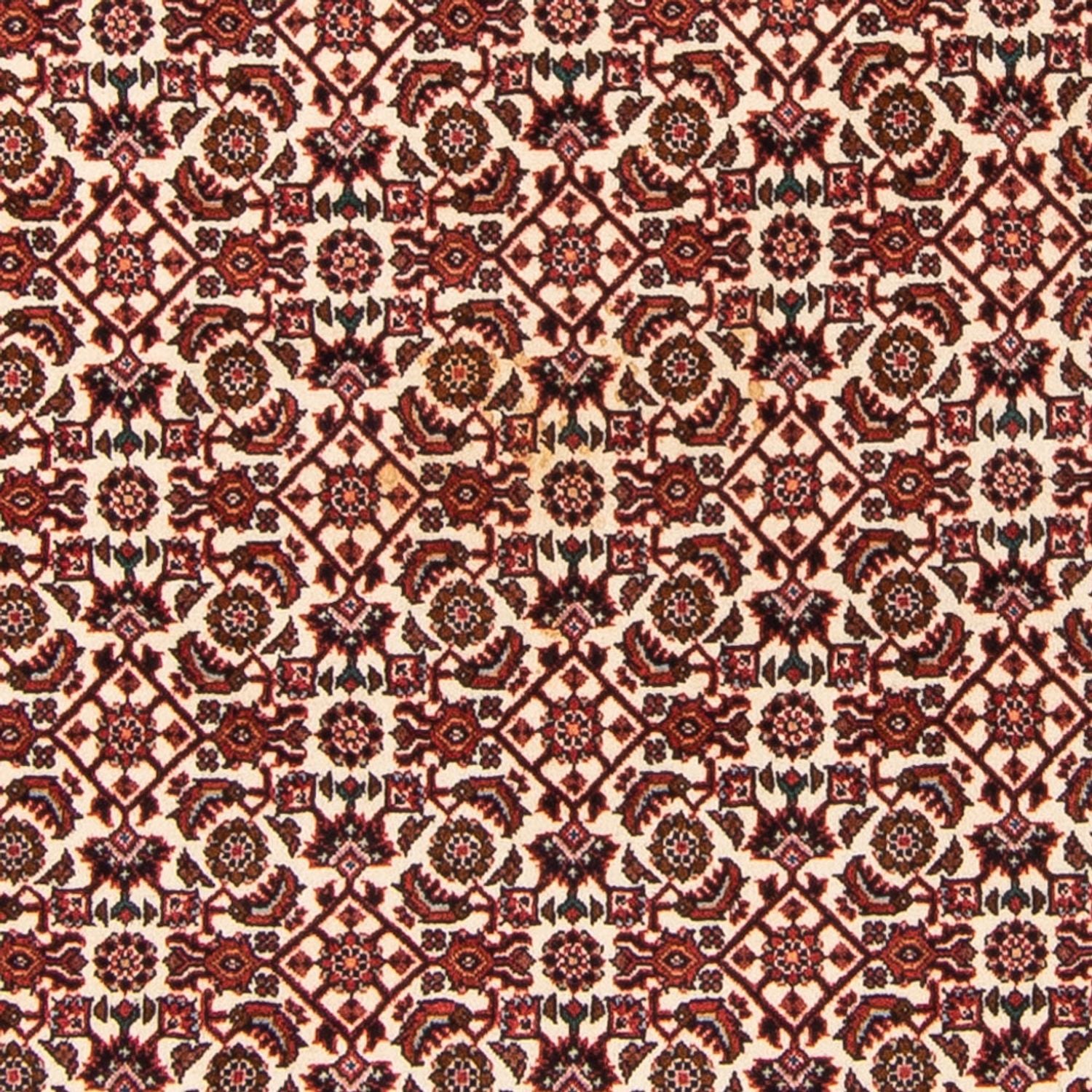 Alfombra persa - Bidjar - 181 x 110 cm - beige