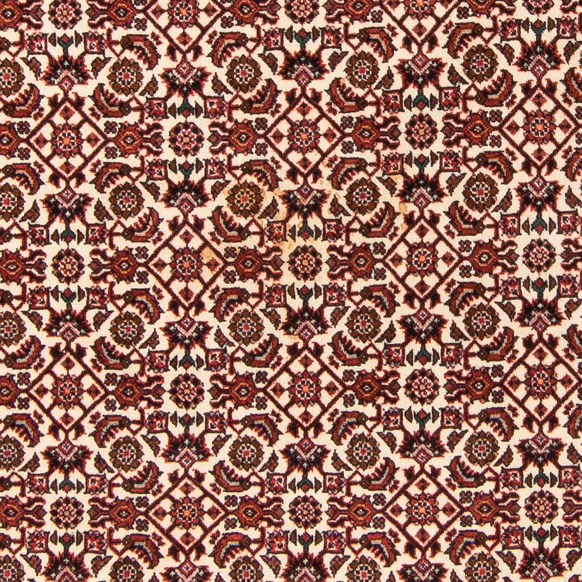 Alfombra persa - Bidjar - 181 x 110 cm - beige