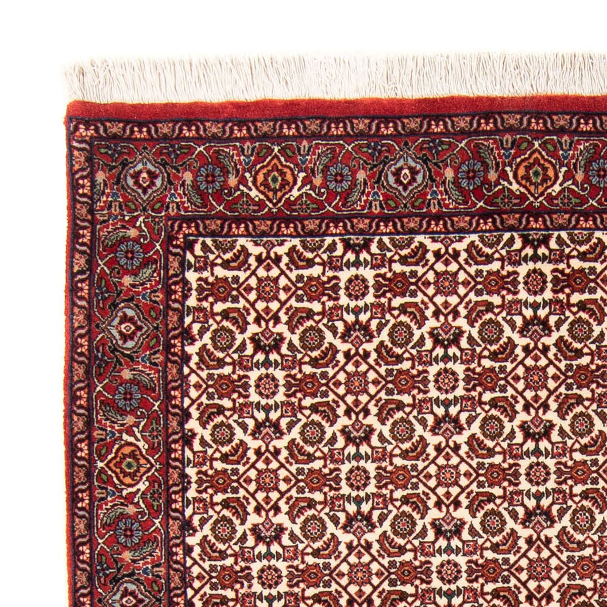 Bidjar - Takab Alfombra 110x181cm - Alfombra persa - beige