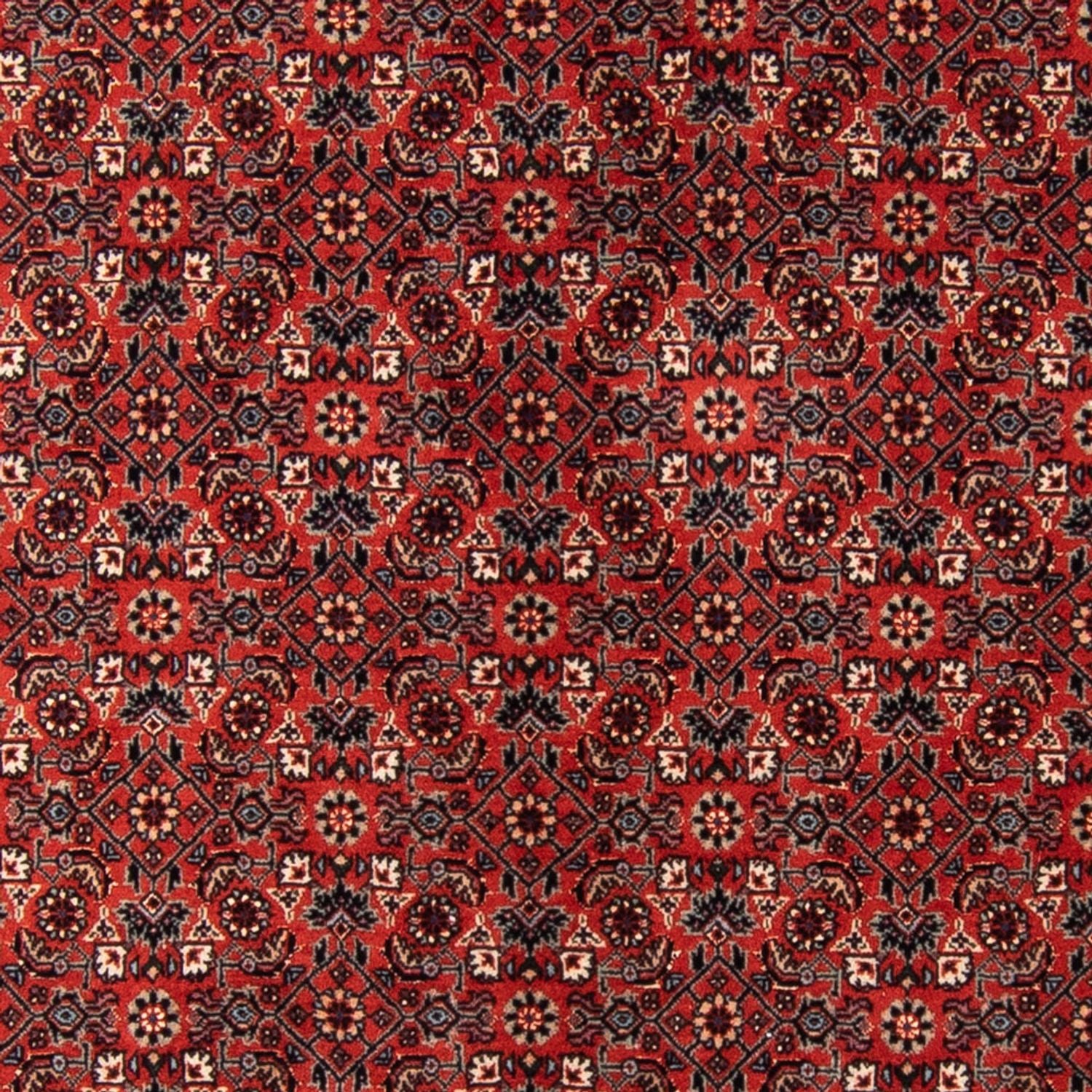Alfombra de pasillo Alfombra persa - Bidjar - 205 x 102 cm - rojo
