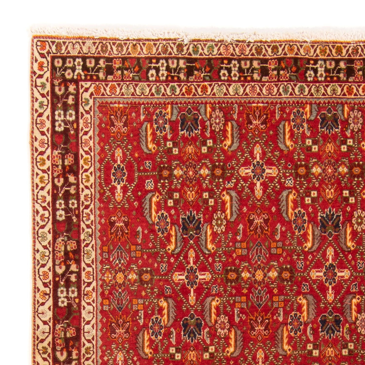Kaschkuli Alfombra 192x130cm - Alfombra persa