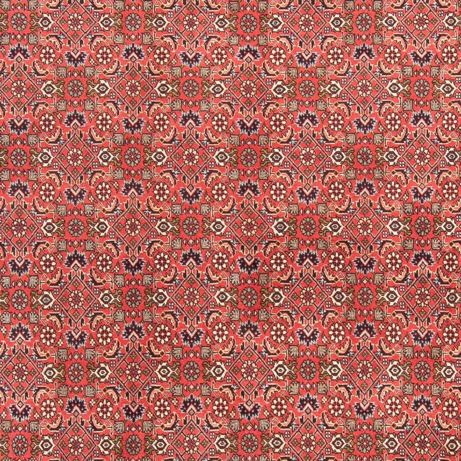Alfombra persa - Bidjar - 300 x 198 cm - rojo