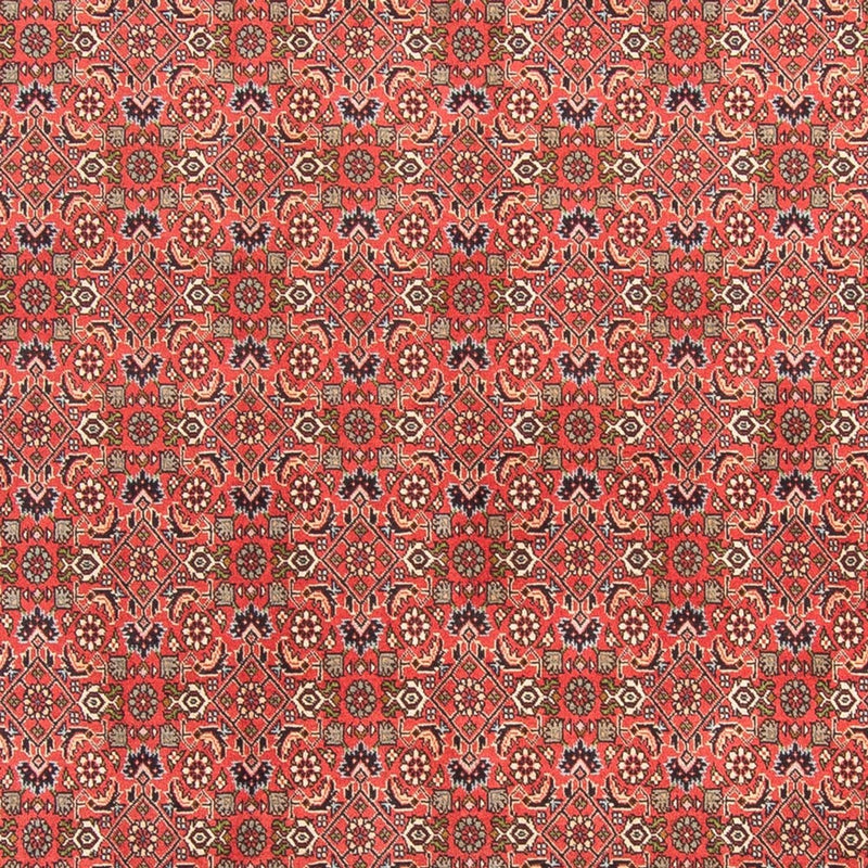 Alfombra persa - Bidjar - 300 x 198 cm - rojo