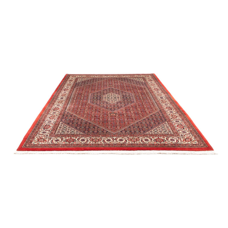 Alfombra persa - Bidjar - 310 x 205 cm - rojo