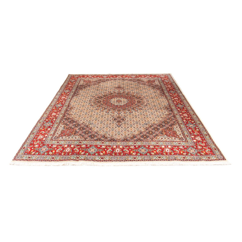 Alfombra persa - Clásica - 299 x 198 cm - beige