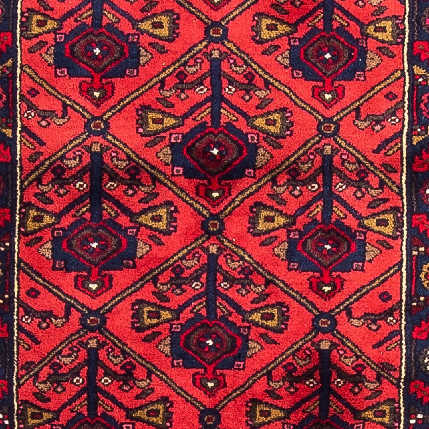 Alfombra de pasillo Alfombra persa - Nómada - 688 x 83 cm - rojo