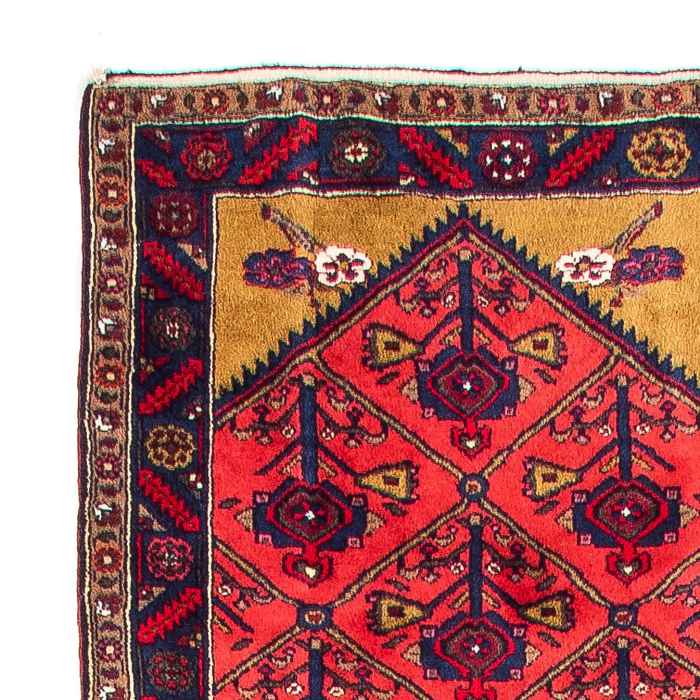 Kolyai Alfombra 688x83cm - Alfombra persa