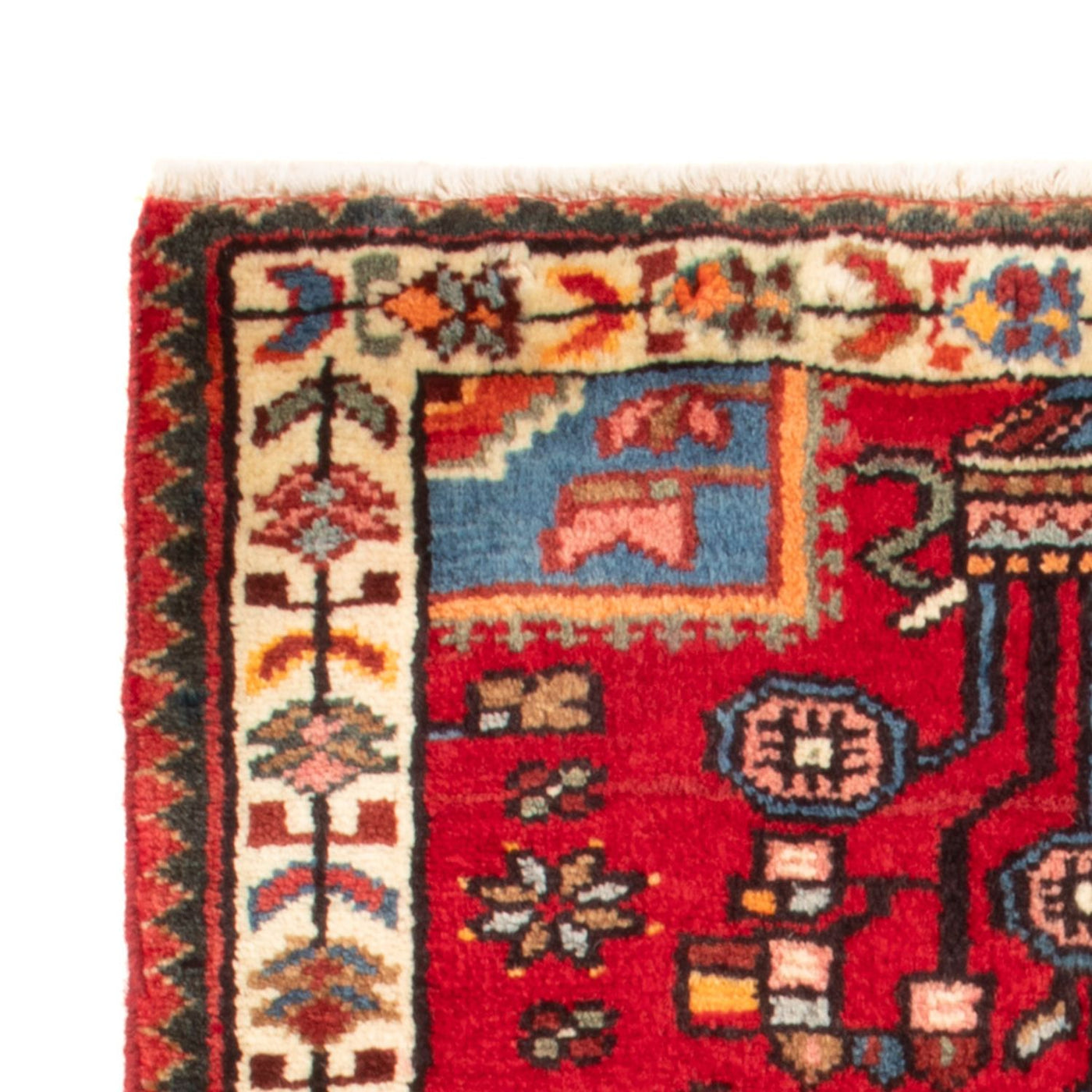 Tuserkan Alfombra 88x54cm - Alfombra persa