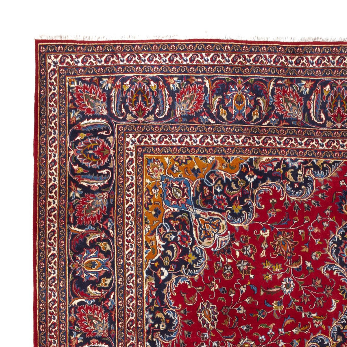 Mashhad Alfombra 303x346cm - Alfombra persa