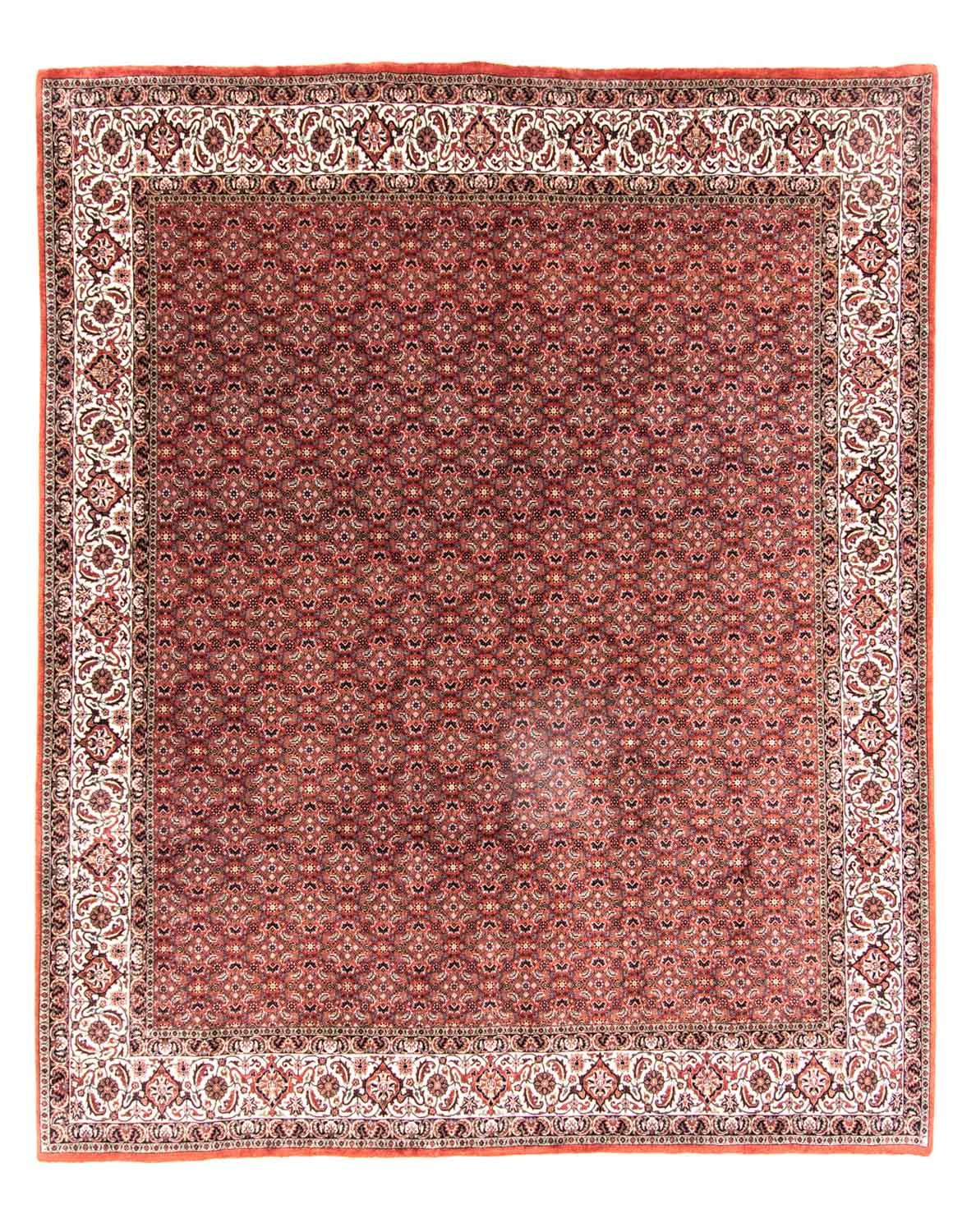 Alfombra persa - Bidjar - 301 x 256 cm - marrón