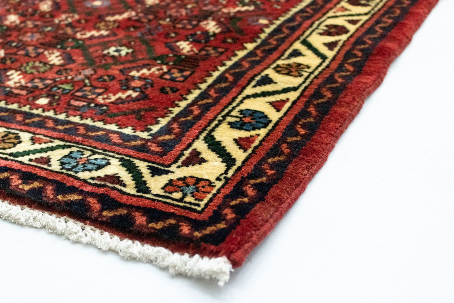 Alfombra de pasillo Alfombra persa - Nómada - 875 x 80 cm - rojo
