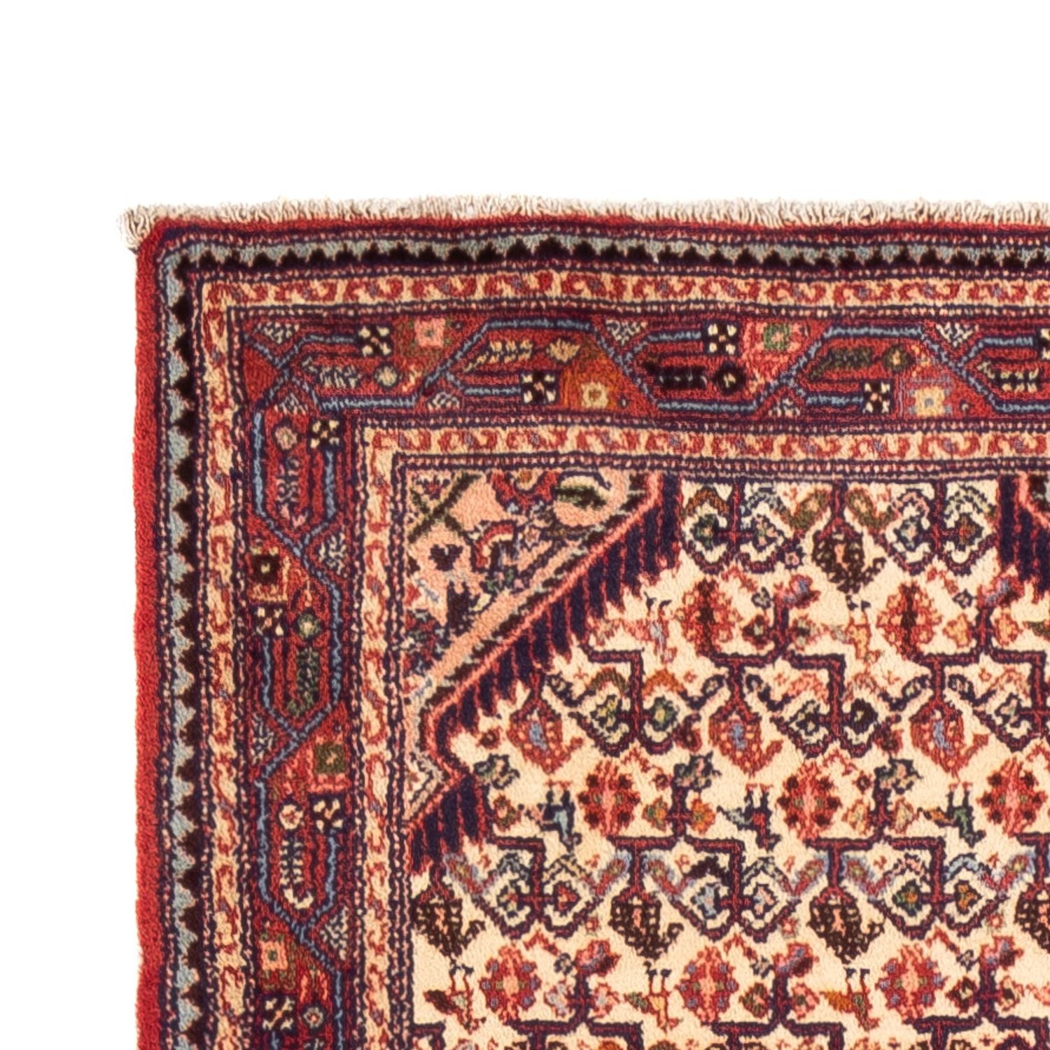 Alfombra de pasillo Alfombra persa - Nómada - 305 x 80 cm - beige