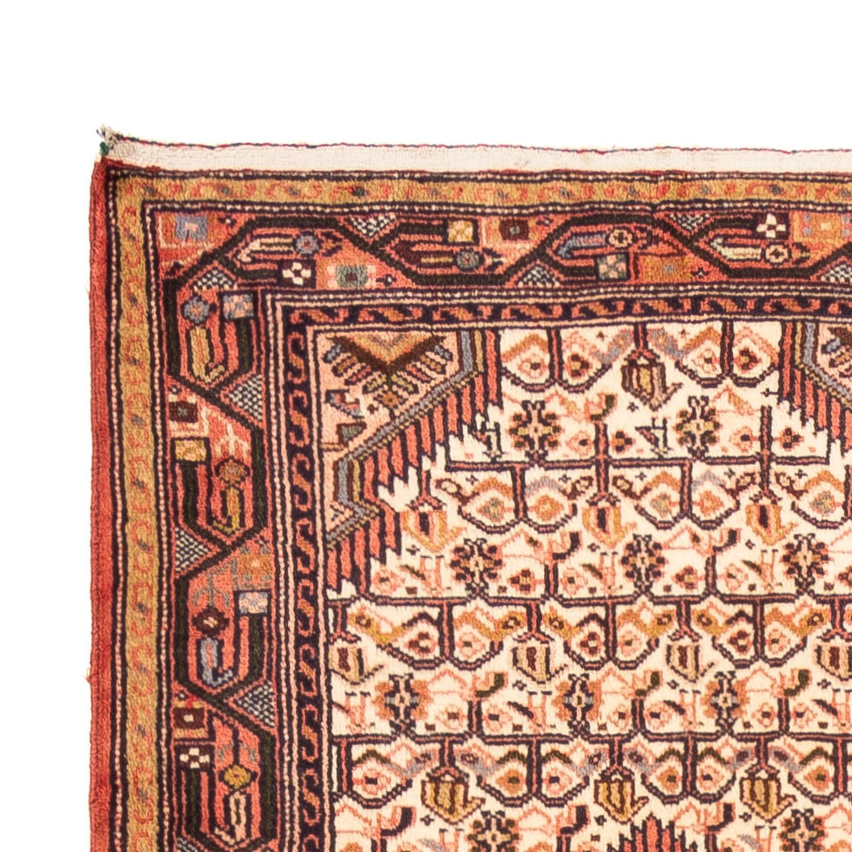 Alfombra de pasillo Alfombra persa - Nómada - 290 x 83 cm - crema