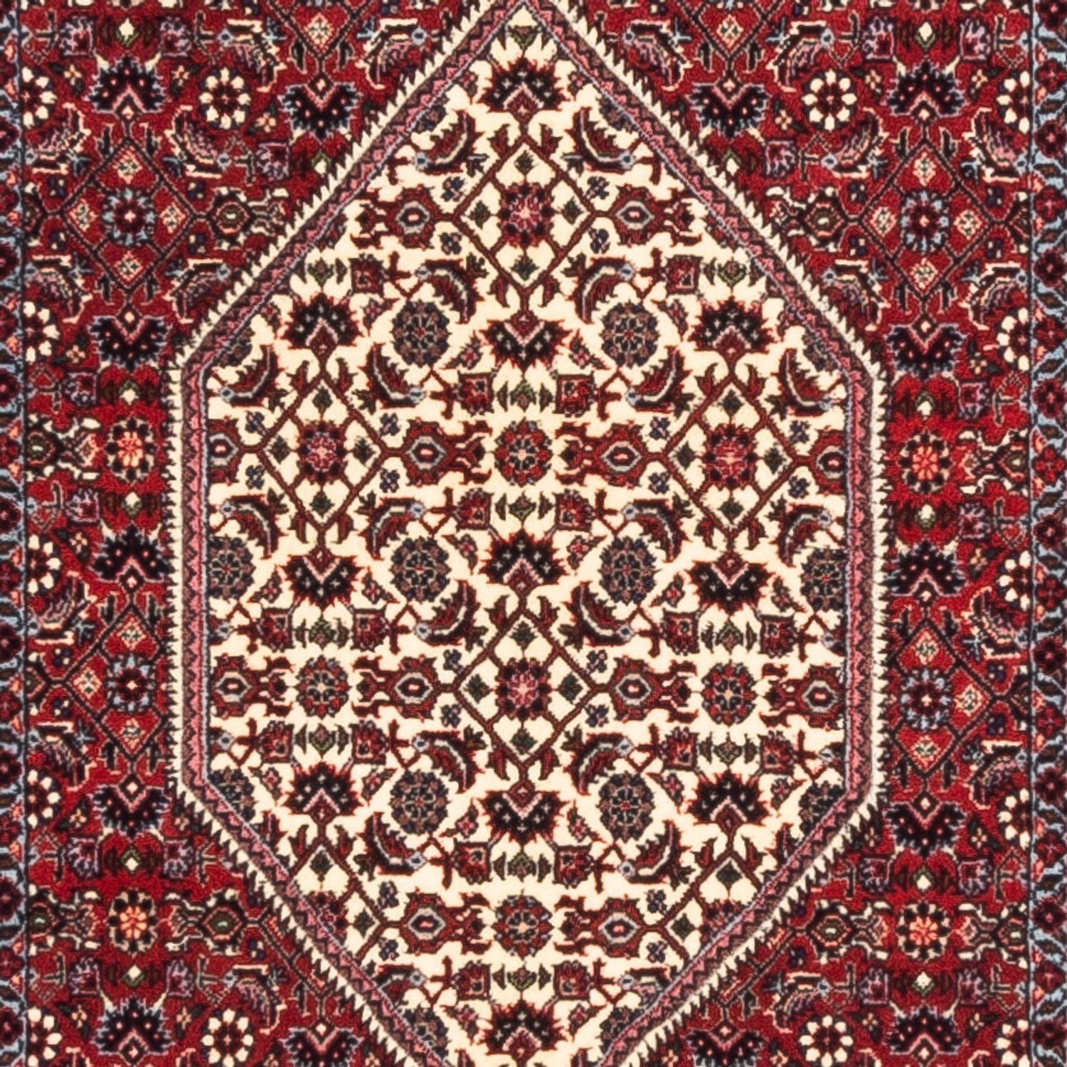 Alfombra de pasillo Alfombra persa - Bidjar - 228 x 78 cm - crema