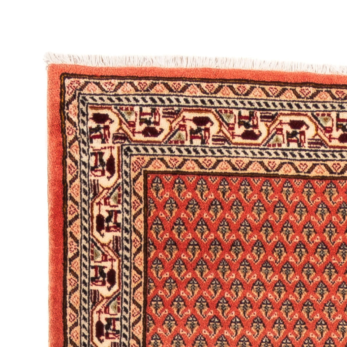 Mir Alfombra 63x348cm - Alfombra persa