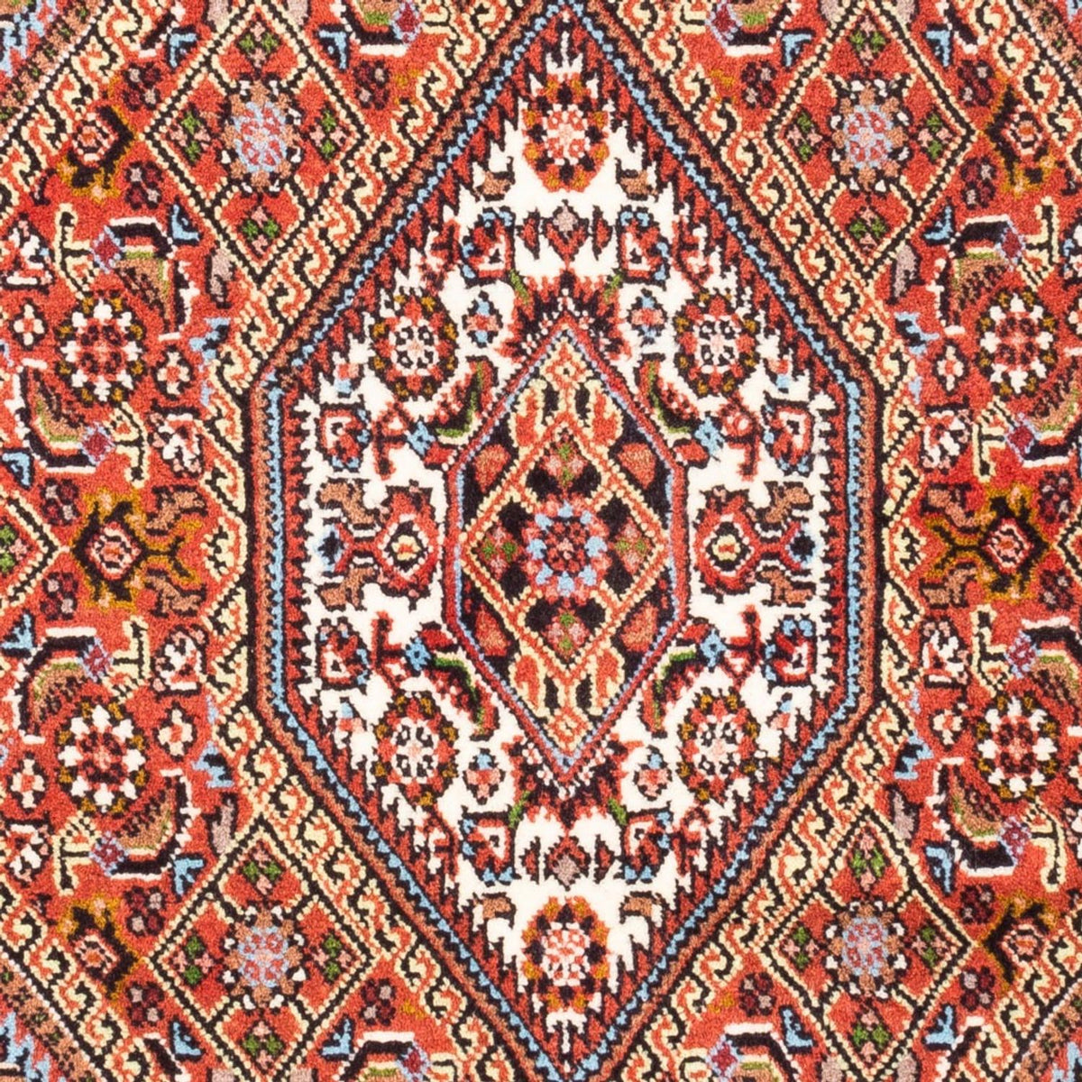 Alfombra persa - Bidjar - 113 x 70 cm - rojo