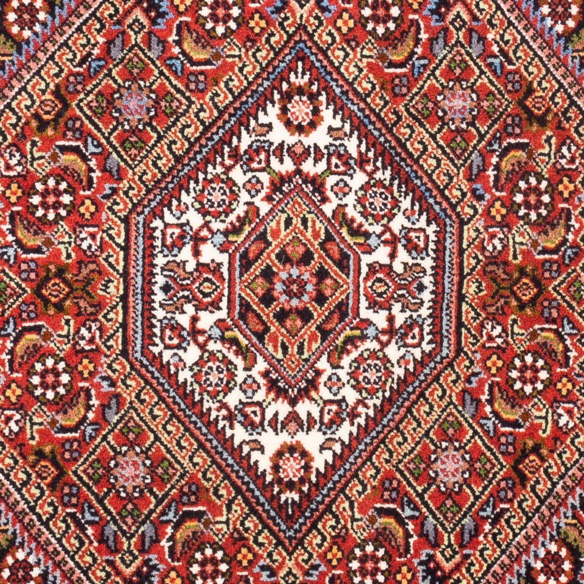 Alfombra persa - Bidjar - 90 x 70 cm - rojo