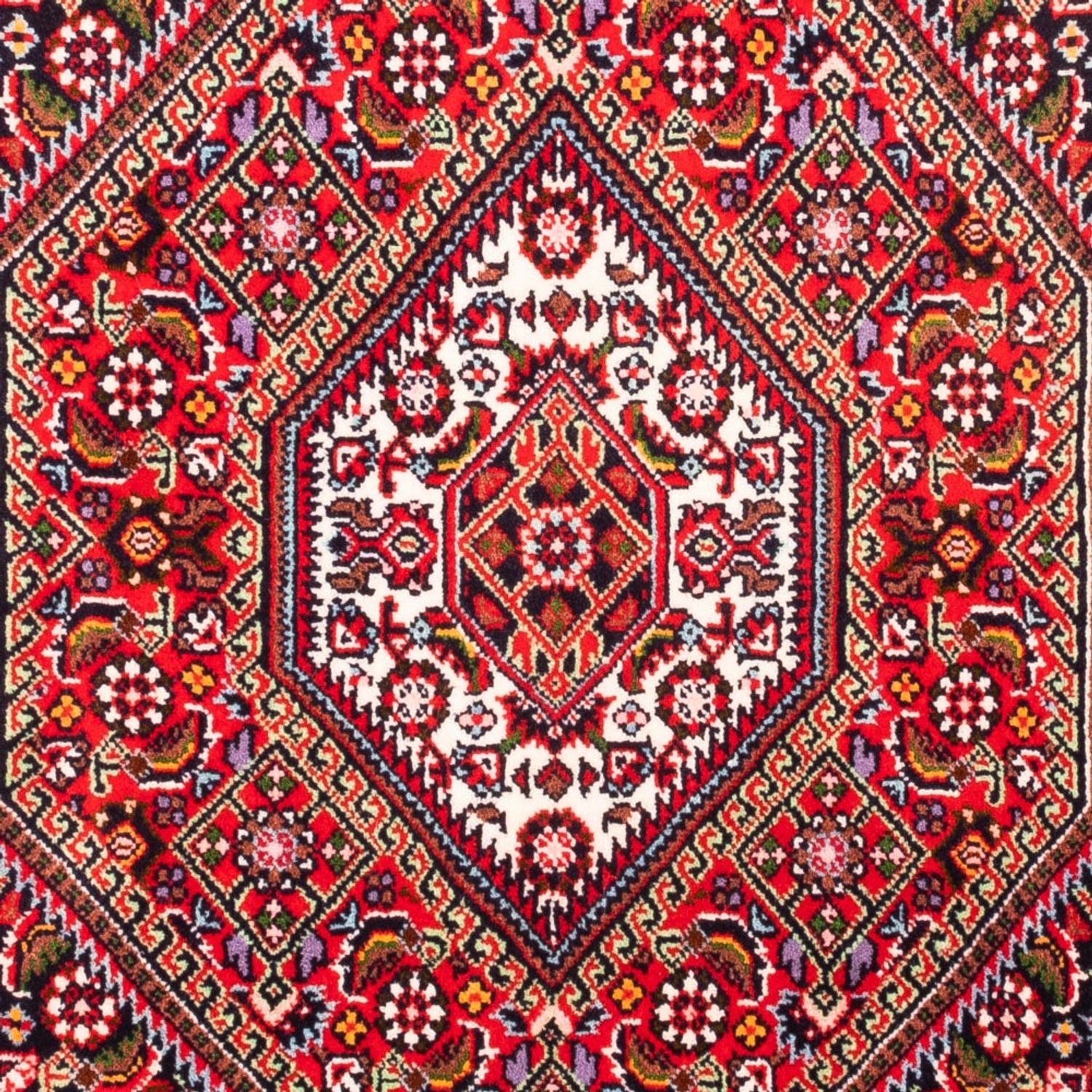 Alfombra persa - Bidjar - 95 x 70 cm - rojo