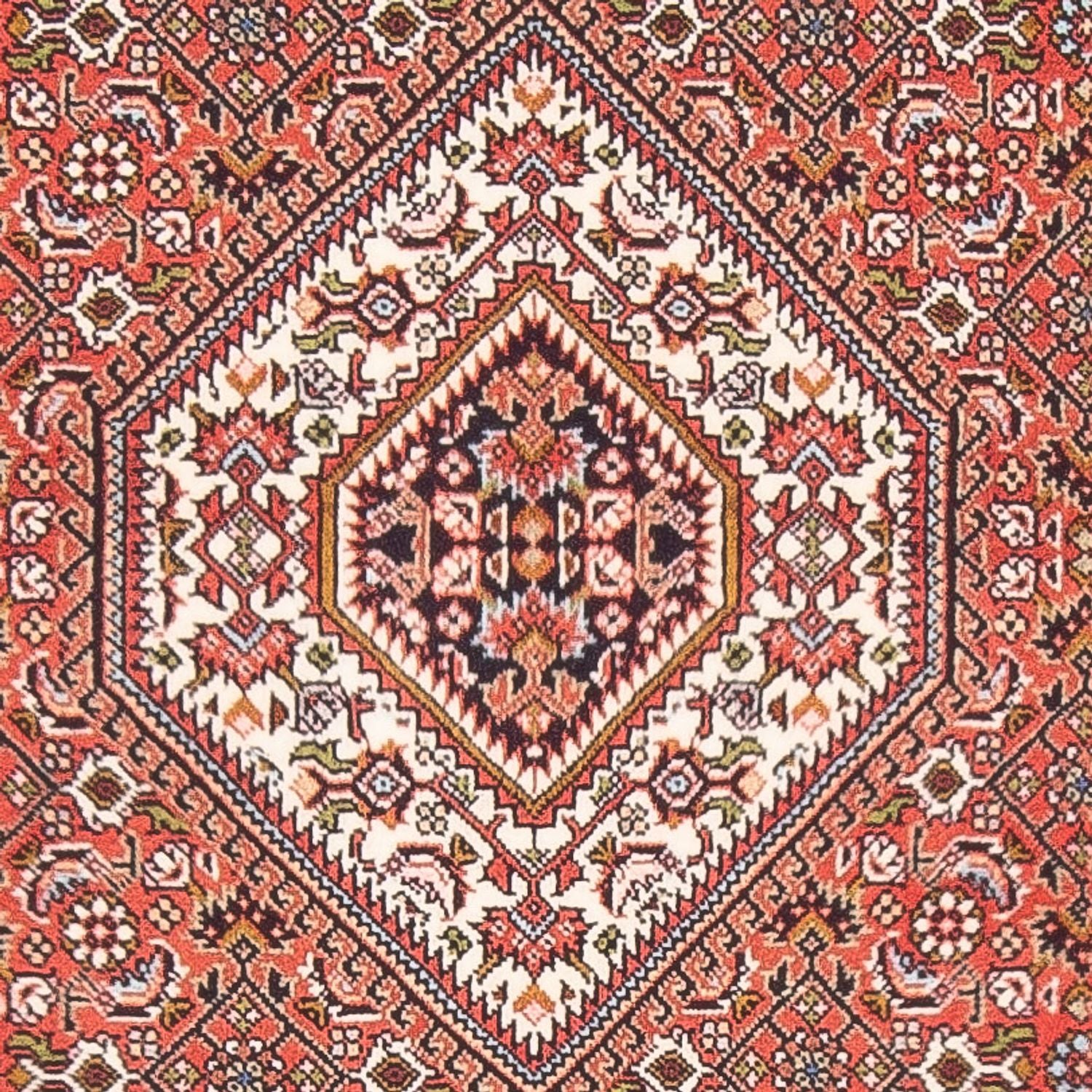 Alfombra persa - Bidjar - 138 x 84 cm - rojo