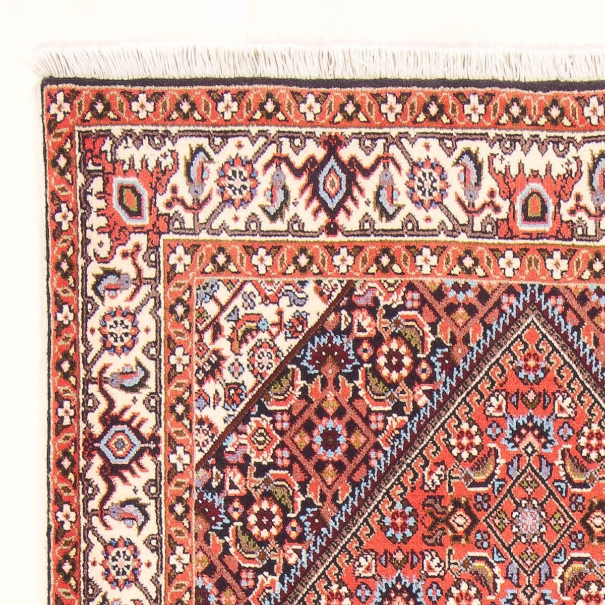 Bidjar - Bukan Alfombra 83x154cm - Alfombra persa - rojo