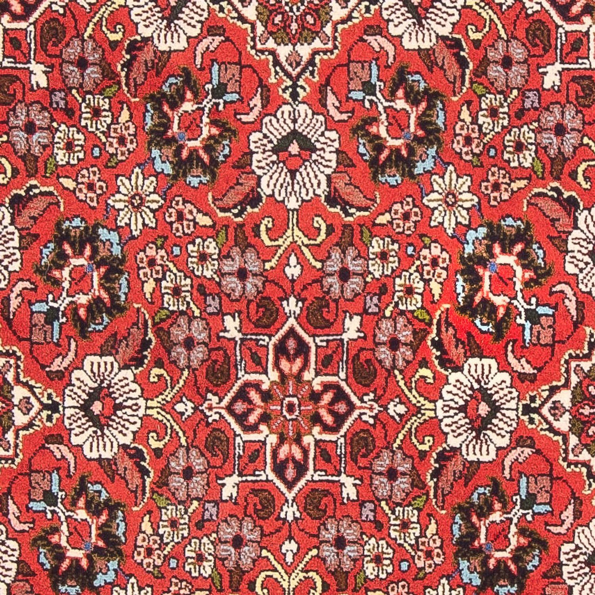 Alfombra persa - Bidjar - 148 x 82 cm - rojo