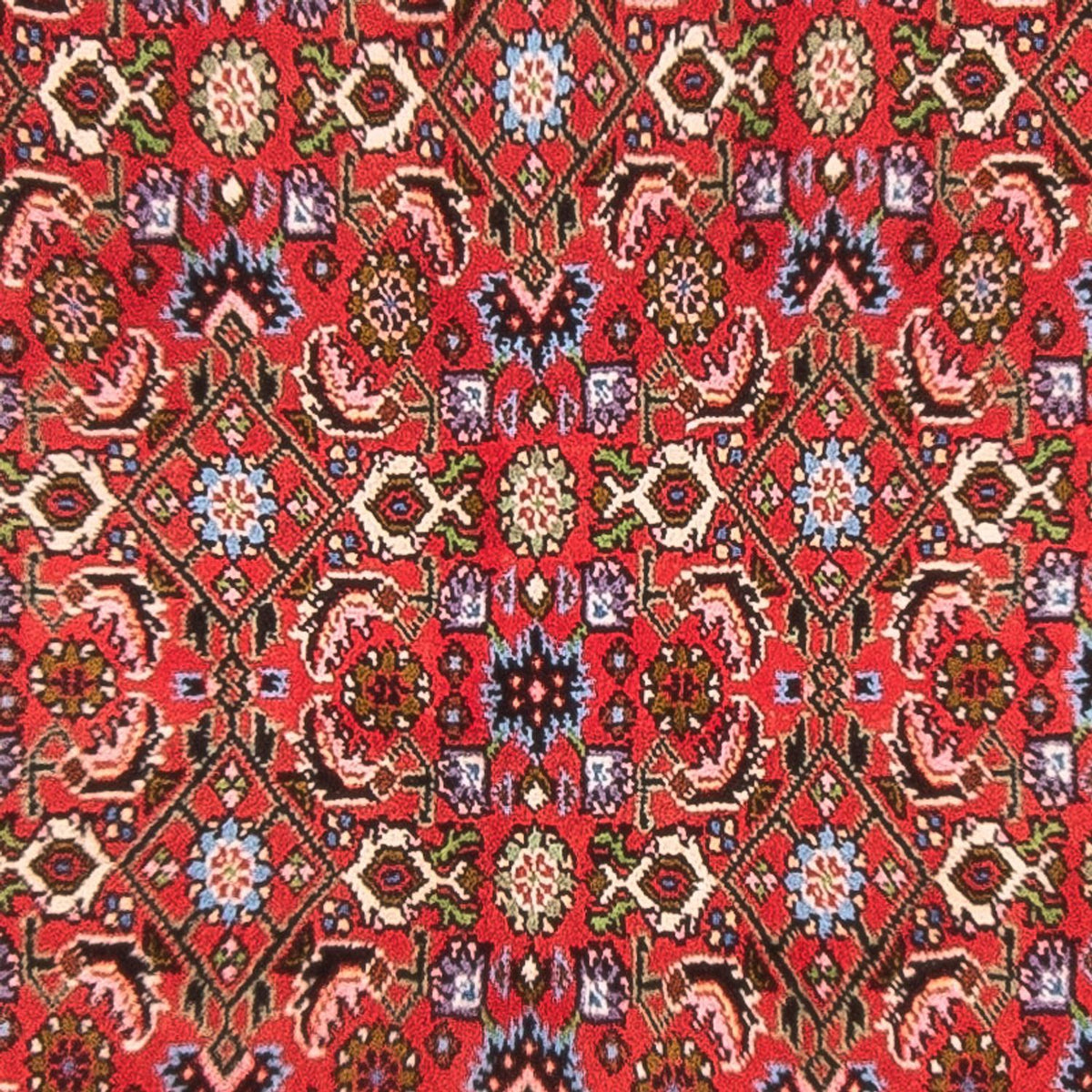 Alfombra persa - Bidjar - 137 x 84 cm - rojo