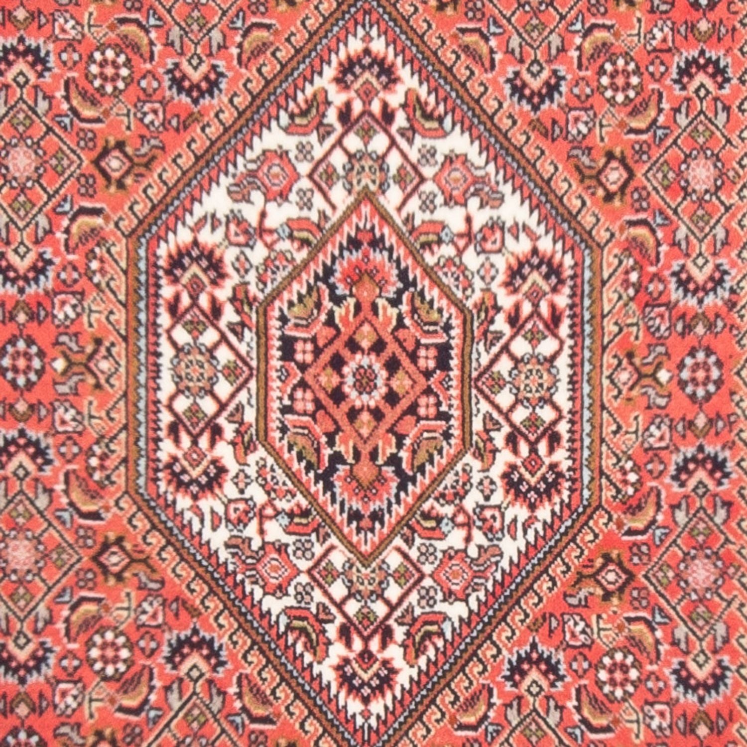 Alfombra persa - Bidjar - 133 x 84 cm - rojo