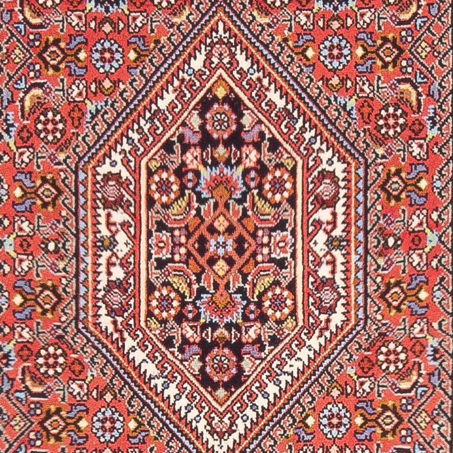 Alfombra persa - Bidjar - 147 x 82 cm - rojo