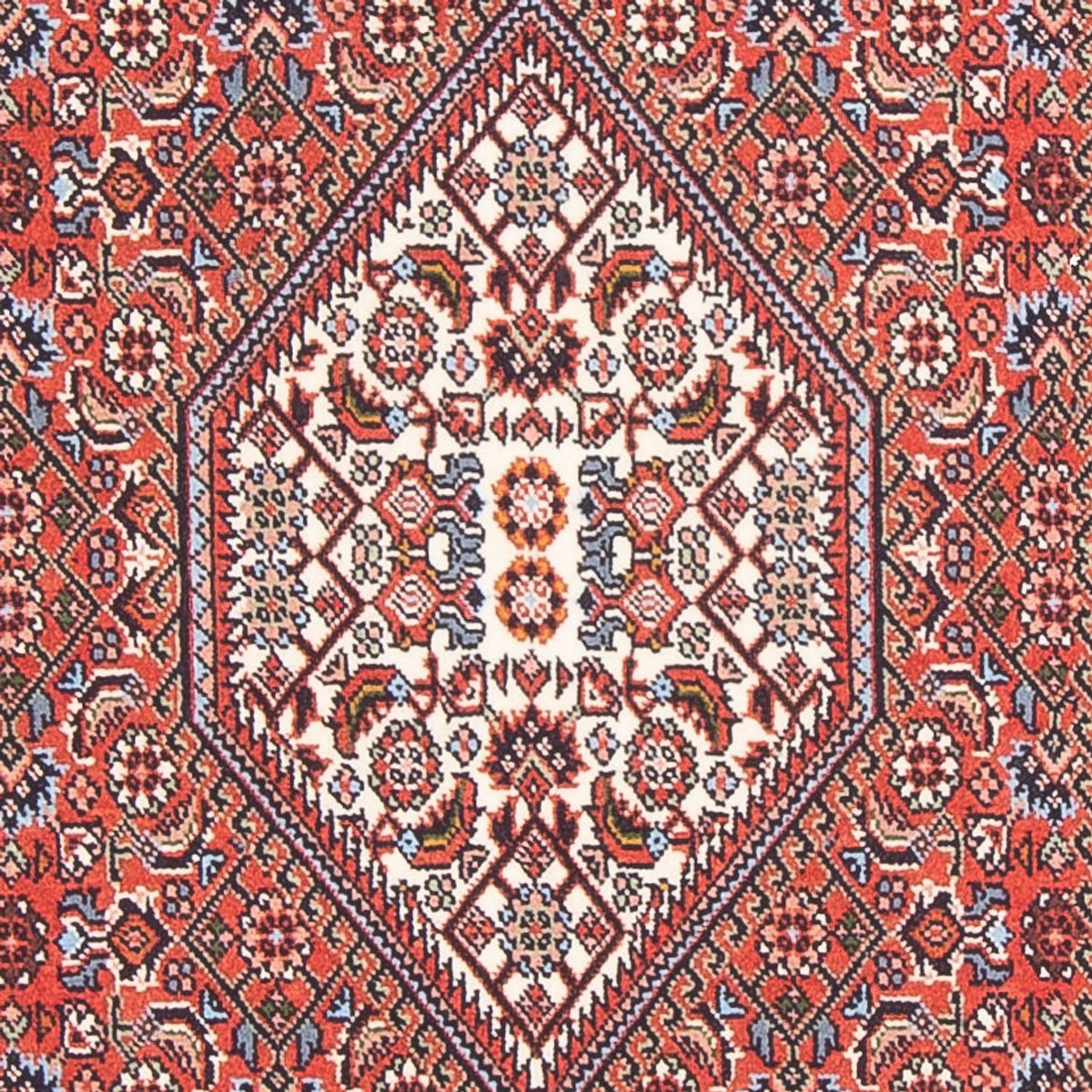 Alfombra persa - Bidjar - 145 x 84 cm - rojo