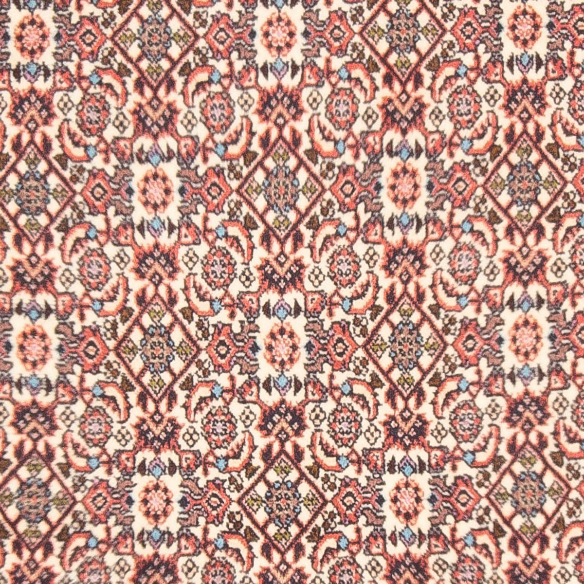 Alfombra persa - Bidjar - 153 x 86 cm - beige