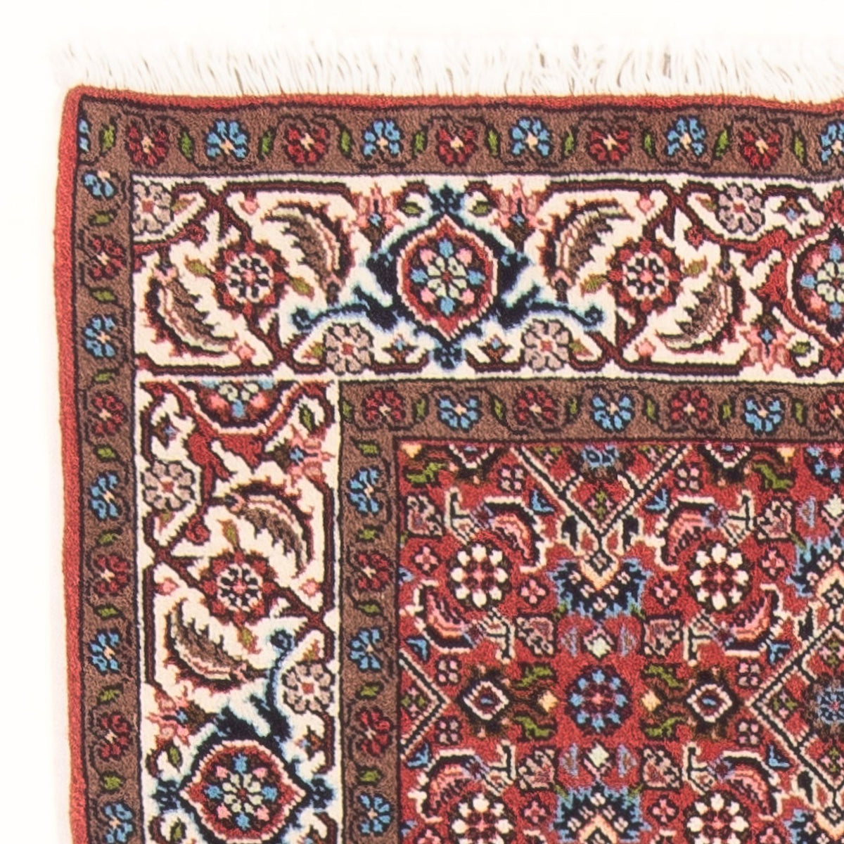 Bidjar - Bukan Alfombra 81x143cm - Alfombra persa - rojo