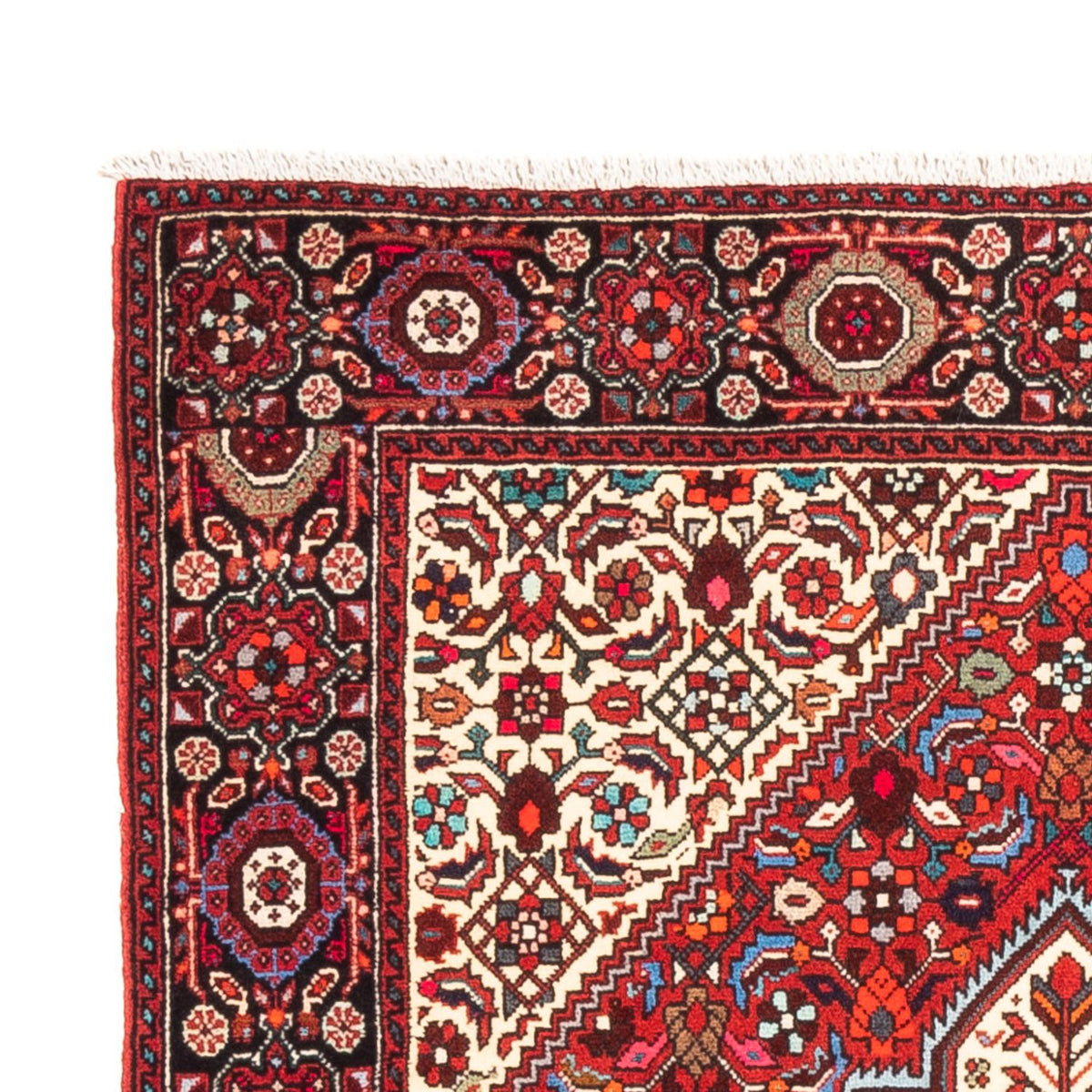 Alfombra persa - Nómada - 153 x 101 cm - rojo