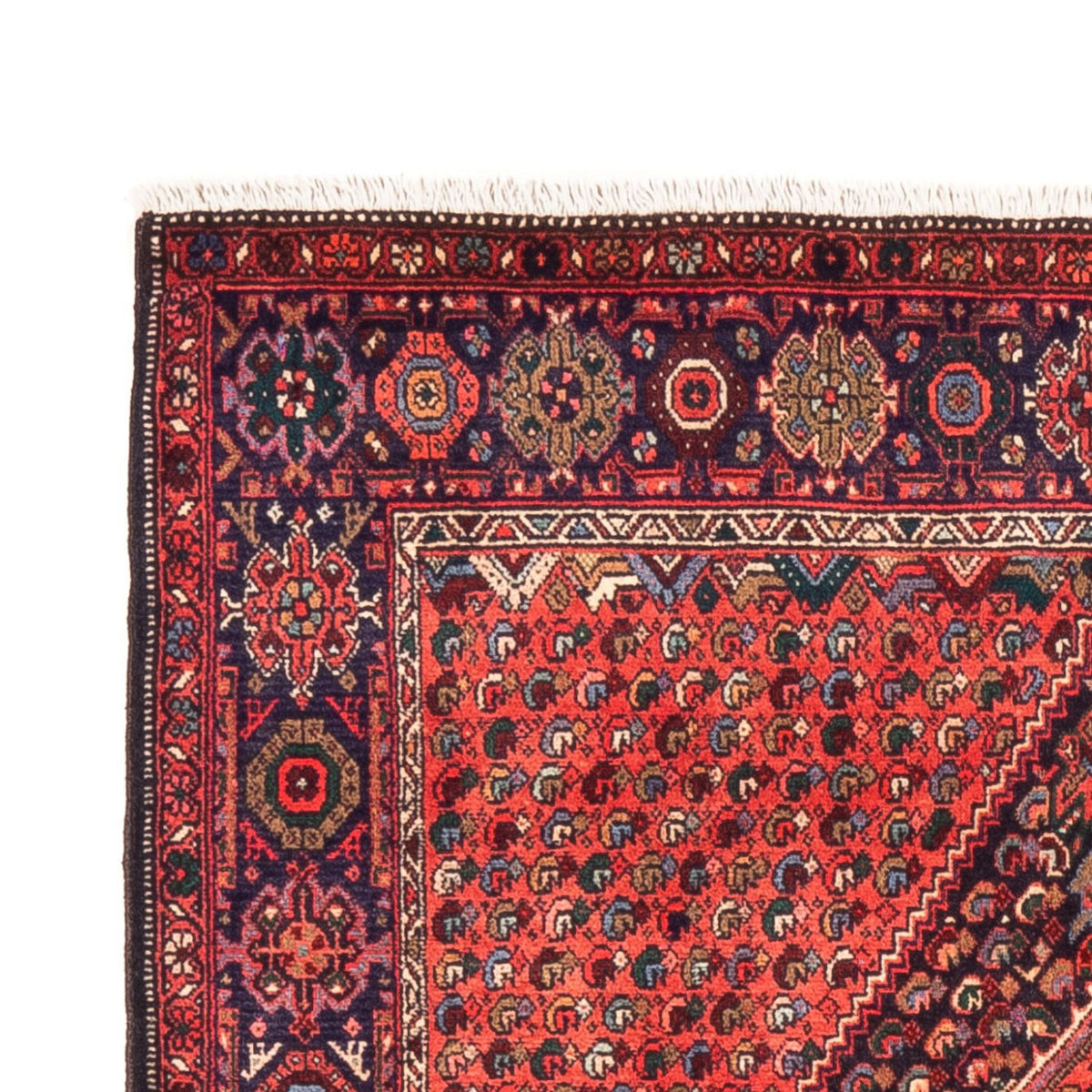 Alfombra persa - Nómada - 148 x 100 cm - rojo