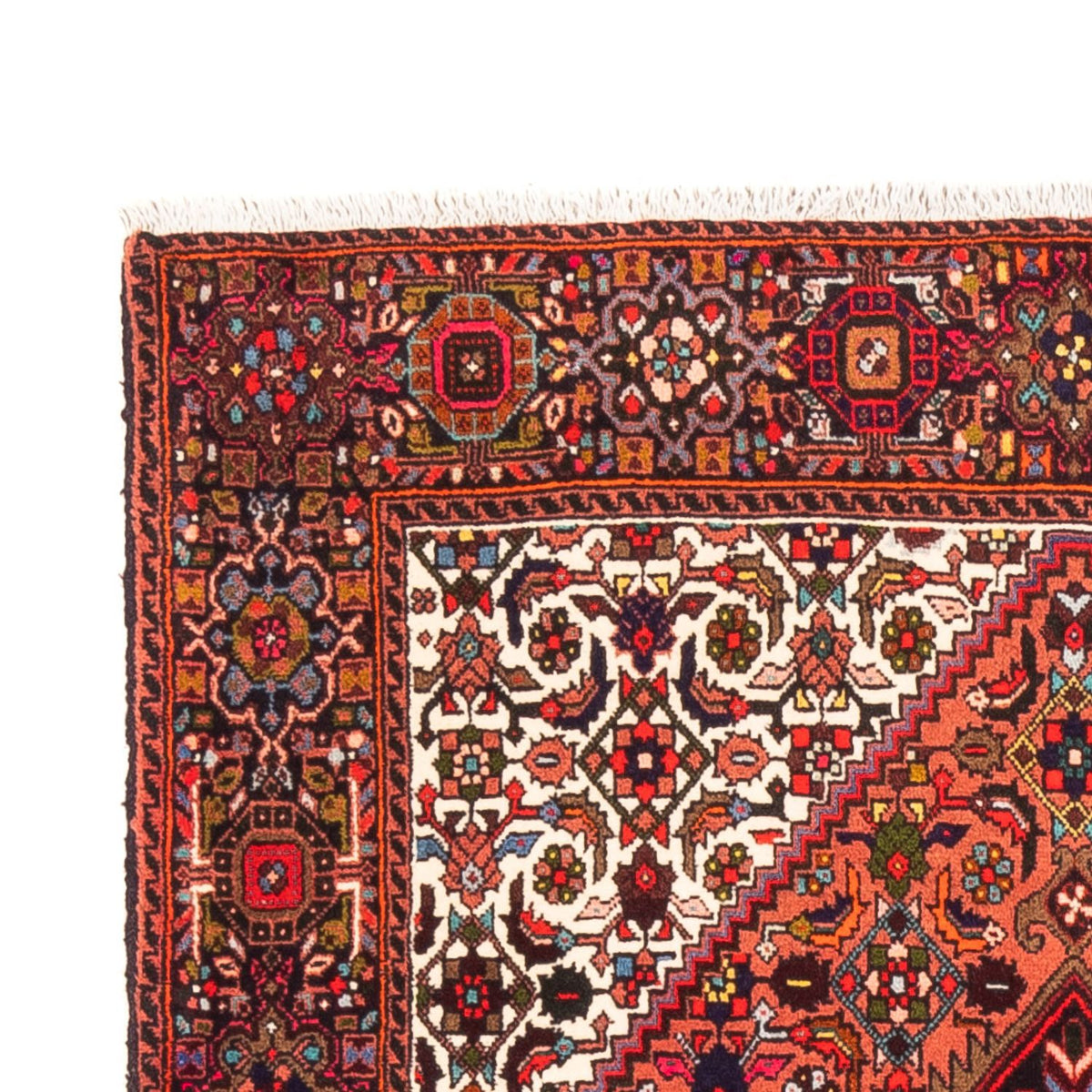 Gholtogh Alfombra 100x146cm - Alfombra persa