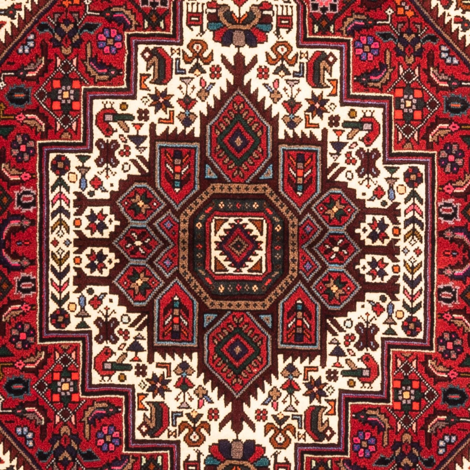 Alfombra persa - Nómada - 152 x 100 cm - rojo