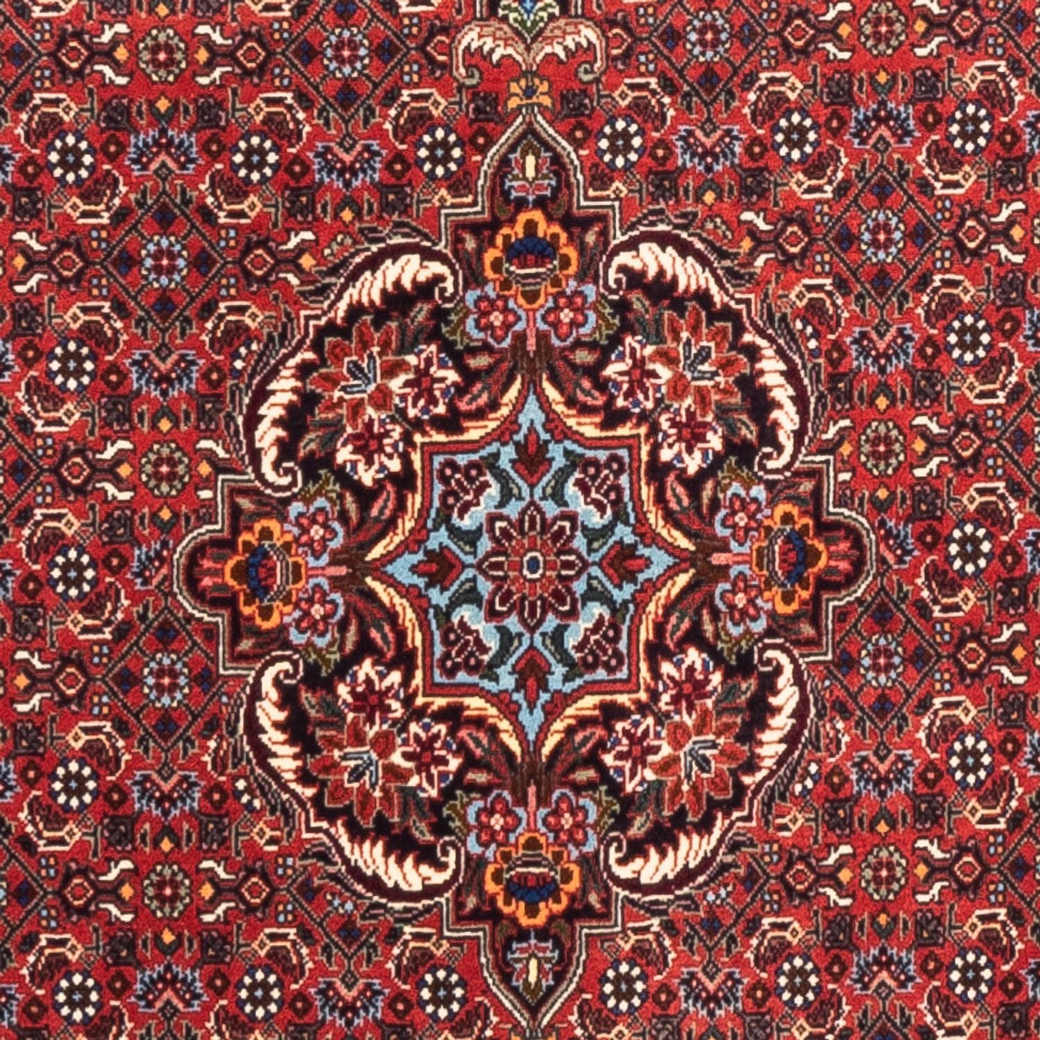 Alfombra de pasillo Alfombra persa - Bidjar - 226 x 75 cm - rojo