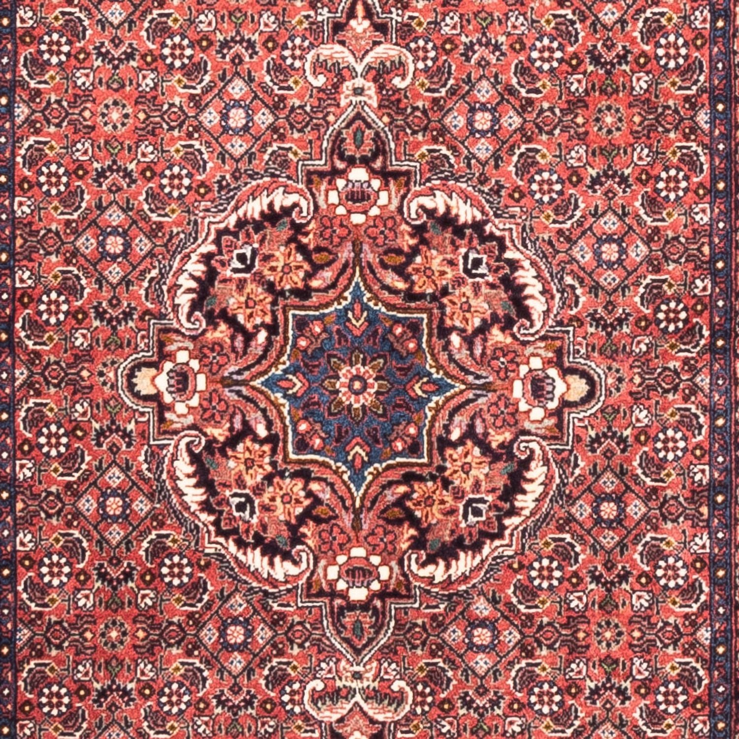 Alfombra de pasillo Alfombra persa - Bidjar - 238 x 73 cm - rojo
