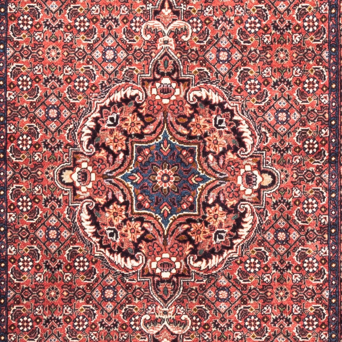 Alfombra de pasillo Alfombra persa - Bidjar - 238 x 73 cm - rojo