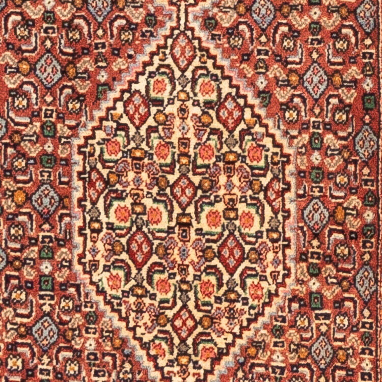 Alfombra de pasillo Alfombra persa - Clásica - 252 x 52 cm - rojo